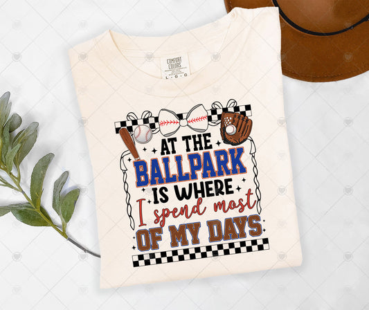 AT THE BALLPARK | COMFOR COLOR GRAPHIC TEE - 1362
