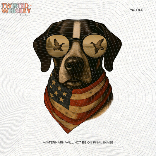 ALL AMERICAN GERMAN SHORTHAIRED POINTER | DIGITAL